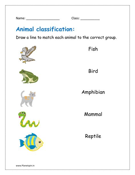 Mammal reptile amphibian bird fish worksheet | Planetspin.in