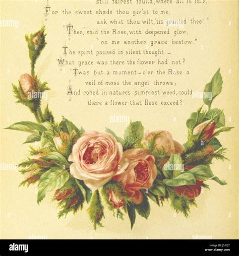 The book 'The Artistic Language of Flowers' explores the symbolism and ...