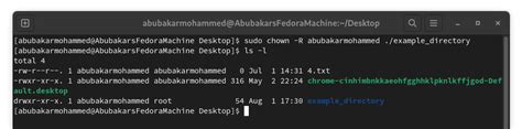 Image result for Command-Prompt Change File Owner