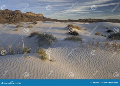 Salt Basin Dunes in Guadalupe Mountains National Park Stock Photo ...