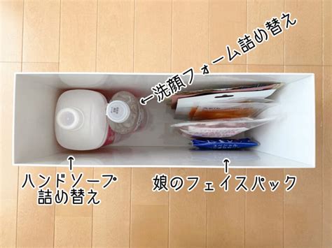 Image result for Example of Practice Project Report