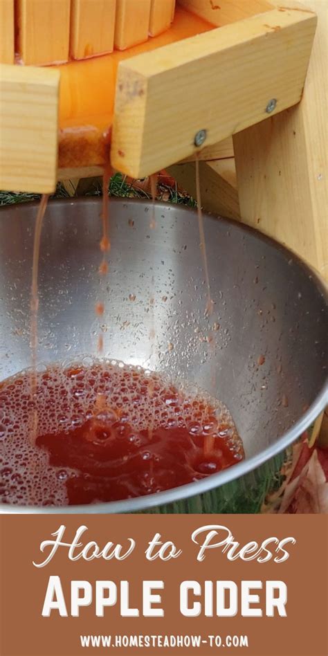 Image result for screw press  apple cider