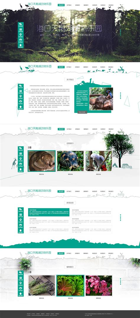 动物园网站首页|网页|企业官网|dengmeijun - 原创作品 - 站酷 (ZCOOL)