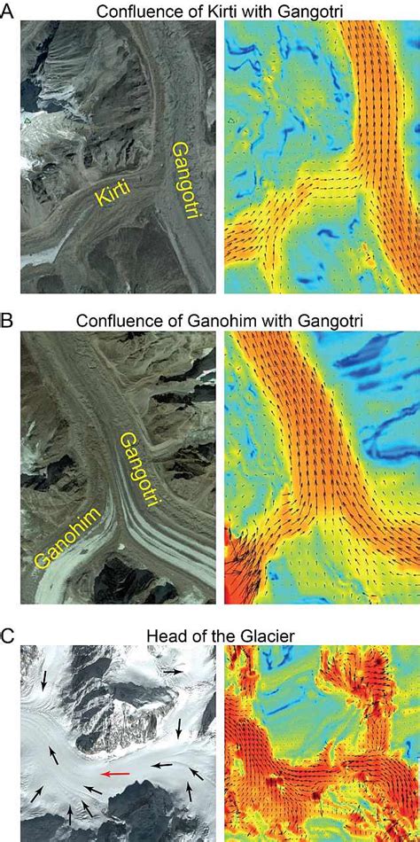 Gangotri glacier dynamics