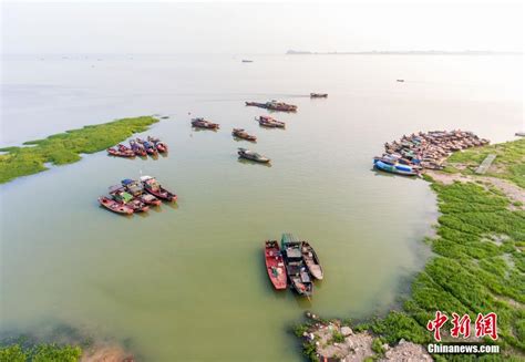 长江53年倒灌入鄱阳湖总水量1462亿立方米_手机新浪网
