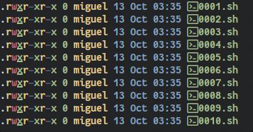 Image result for How to Make an Executable