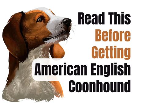 Consider These 15 Factors Before Purchasing an American English ...