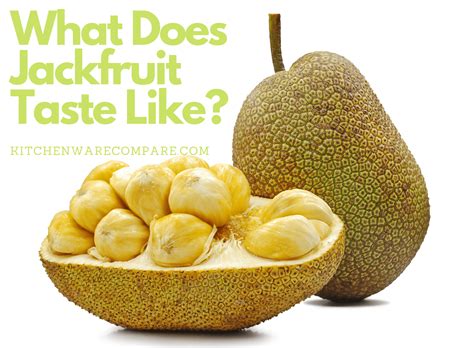 What Does Jackfruit Taste Like? A Complete Guide to This Super Fruit - Kitchenware Compare