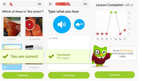 Can You Really Learn a Language with Duolingo: An Exploration of Its ...