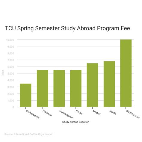 South Africa study abroad sparks conversation on cost of programs | TCU 360