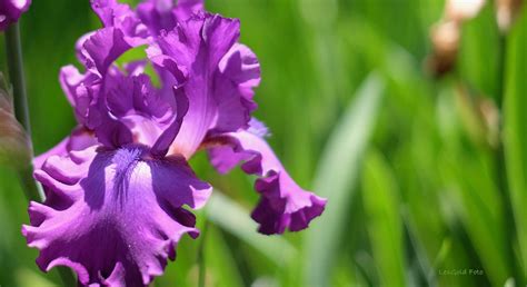 Clark Botanic Garden