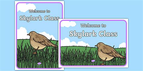 Welcome to Skylark Class Display Posters