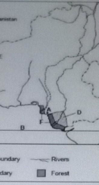 c) i) Study the given map:What type of forest grows in thearea F on Fig ...