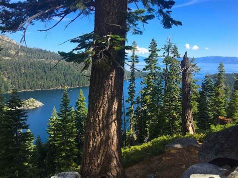 Hilton Vacation Club Lake Tahoe Resort South Pool: Pictures & Reviews ...