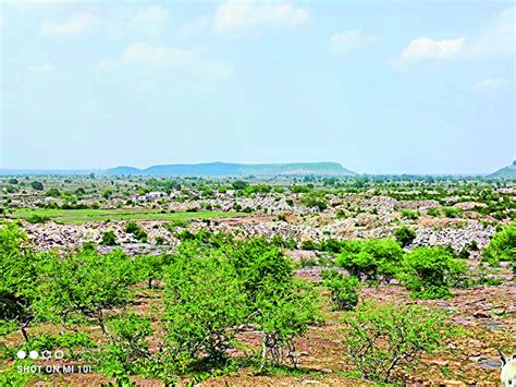 Fearless illegal mining of white stone in Son Chiraiya sanctuary and | सोन चिरैया अभयारण्य एवं ...