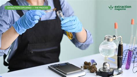 Image result for Alcohol Extraction Machine