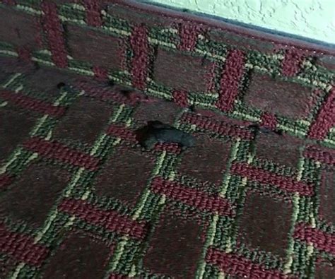 ECONOLODGE - CLEVELAND - Motel Reviews & Photos - Tripadvisor