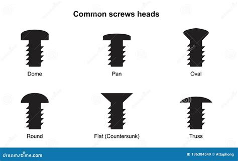 Common Screws Heads. Types of Slots Bolt Heads. the Head Stock Vector ...