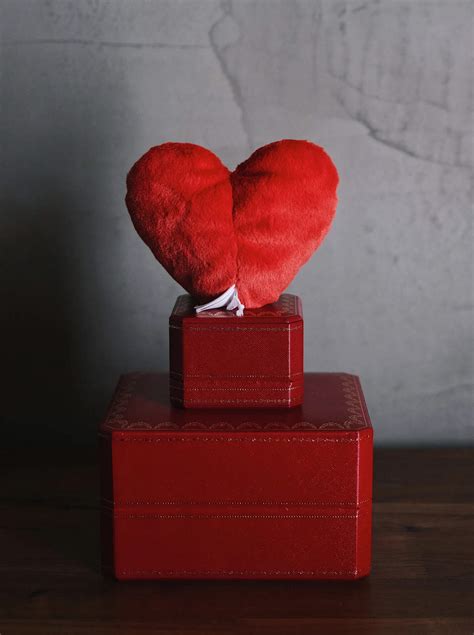 Valentine's Day Plush Toys OEM/ODM