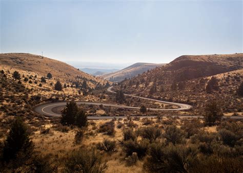 Witness Marks - PhMuseum