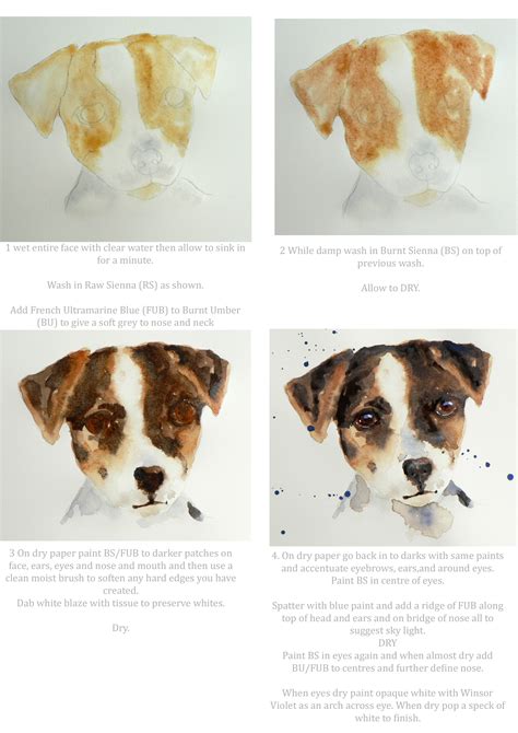 Image result for Animal Coloring Tutorial