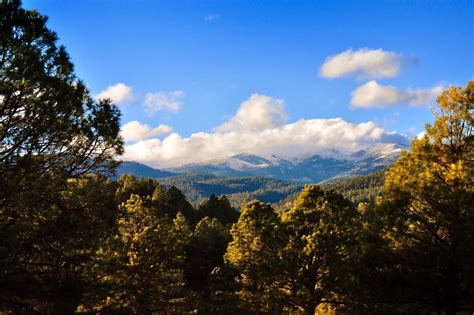 Sierra Blanca Peak through trees in Ruidoso NM [OC] [2354 x 1569 ...