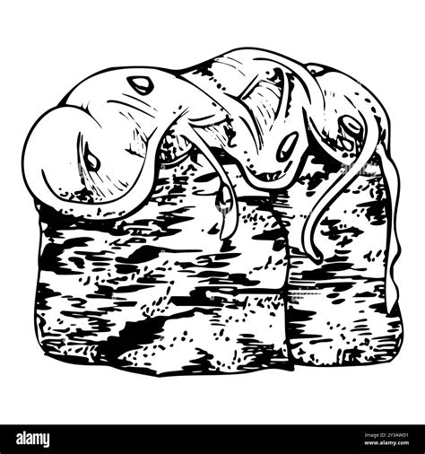 Traditional Japanese food, gunkan sushi seaweed nori wrap with wakame ...