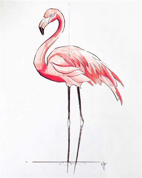 Easy Flamingo Drawing