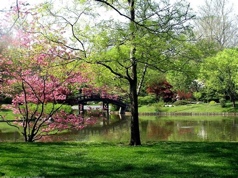 Image result for Springtime Background Music