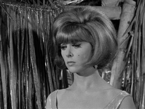 Amazon Prime Gilligan S Island at Jo Diggs blog