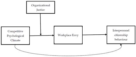 Exploring the Interplay of Competition and Justice: A Moderated ...