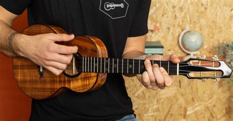 Image result for Sublime Ukulele Tutorial