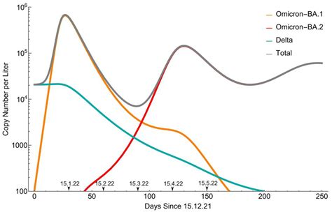 The Rise and Fall of Omicron BA.1 Variant as Seen in Wastewater ...