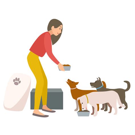 What to and What not to Feed Stray / Shelter Dogs – Ruse