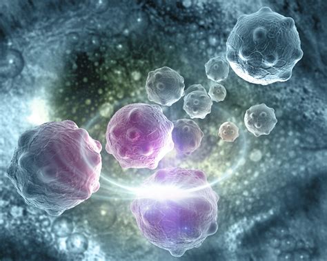 Cancer Cells: Types, Formation, and Characteristics