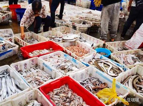 除了海鲜市场，你们通常都去哪里买海鲜比较便宜、新鲜？ - 知乎