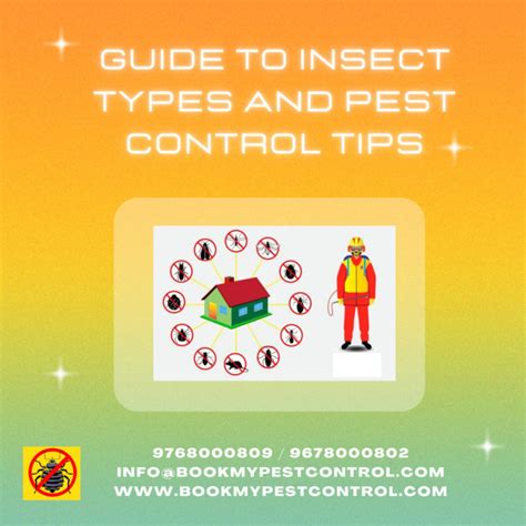 Image result for Bug Pest Control Tips