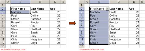 Excel Filtering Tables 的图像结果
