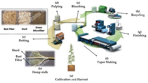 Image result for Pulp Making Process