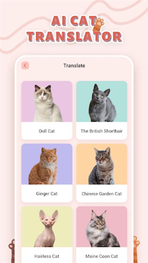 Image result for Alien Cat Translator