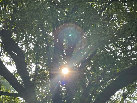 Smoke from Canadian wildfires reaches central Pa., affecting air ...