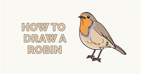 How to Draw a Robin - Really Easy Drawing Tutorial