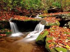 Wallpapers Of Nature 3d by 3d Nature Wallpapers Pak Mobile Ghar Wallpapers Of Nature 3d