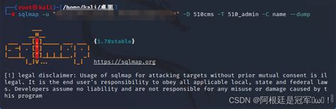 Sqlmap Tutorial Basics 的图像结果
