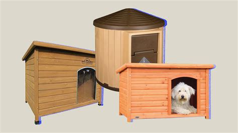 The Best Heated Dog Houses for Getting Your Pup Through the Cold Months ...