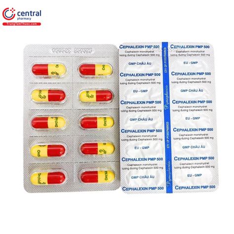 Thuốc Cephalexin PMP 500 - Điều trị nhiễm khuẩn đường hô hấp hiệu quả