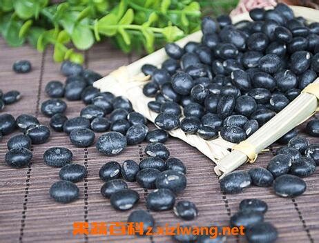 吃黑豆的功效与作用_黑豆_做法,功效与作用,营养价值z.xiziwang.net