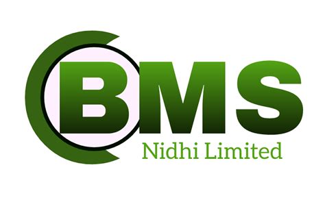 BHAVISYA MICRO SERVICE NIDHI LIMITED