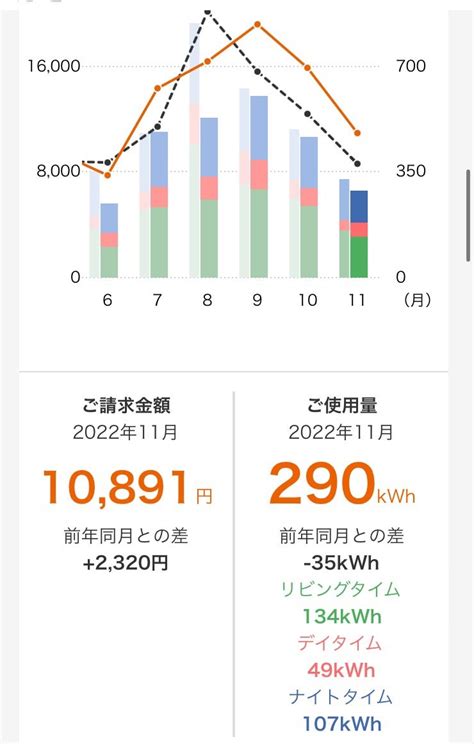 2022年11月の電気代 | iltetoula