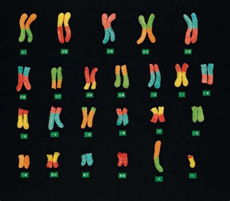 Image result for Research Code Sheet Example